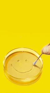 آنتن - سریال پلوریبوس