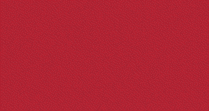 چرم مشهد اصلی کمپین