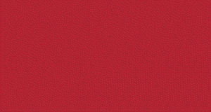 چرم مشهد- روز پایانی کمپین